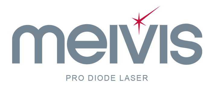 MEIVIS